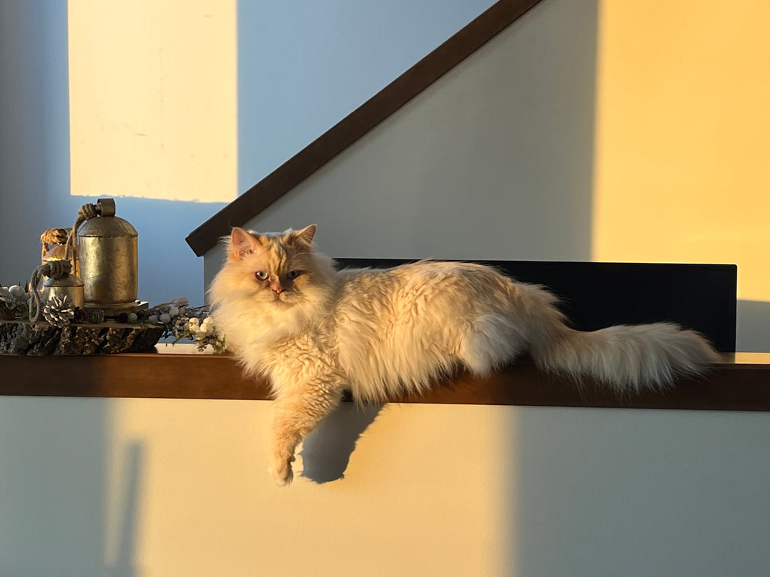 Autism, Perfectionism, and My Totally Flawless Strategy for Hiding