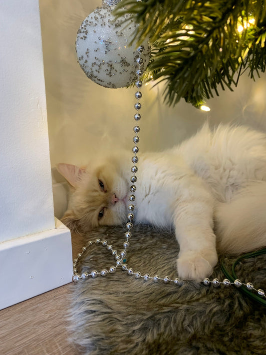 Gift Giving Season, or: An Autistic Woman Attempts Advanced Social Origami