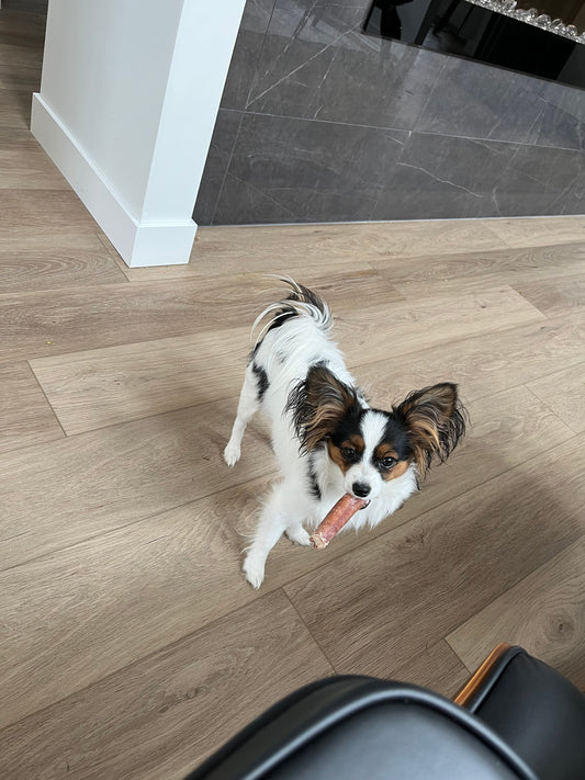 Spoon Theory?  Masking?  I don't think so.