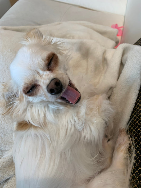 My Weird Little Secret Ritual