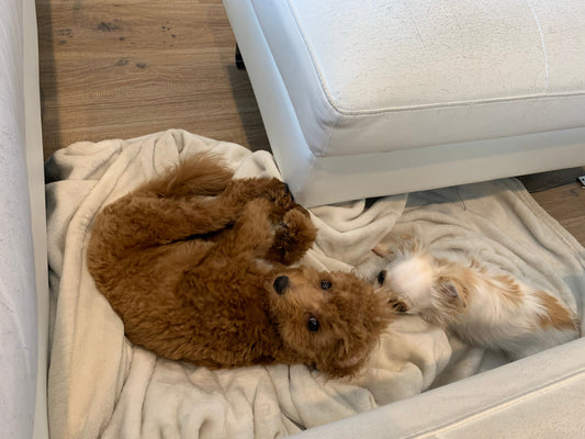 So… I’m Autistic. Your Move.