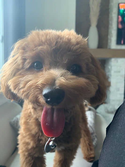 Dear Friends: It Wasn’t Personal, It Was Autism