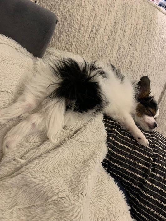 I Don’t Have Bowels and Other Fun Autistic Denial Strategies