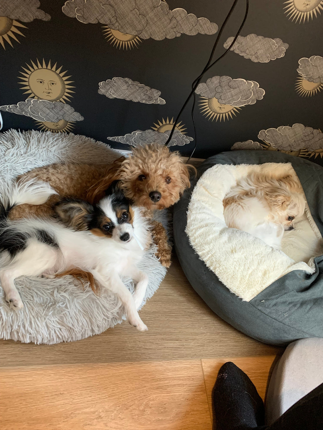 Am I Disabled? Asking for… Me