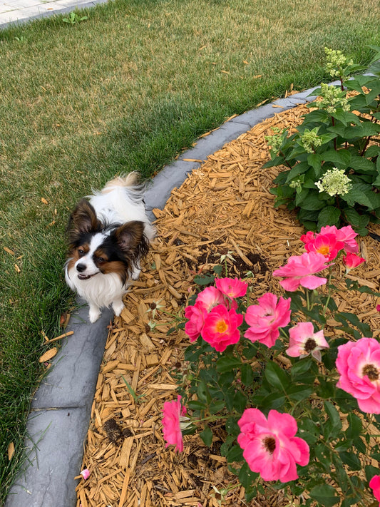 Sensory Bliss: The Autistic Superpower Nobody Talks About