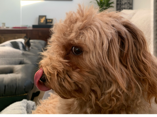 Death and Other Super Chill Stuff