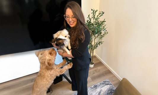 Let Me Tell You About my Hyperfixations.  Please Sit Down.