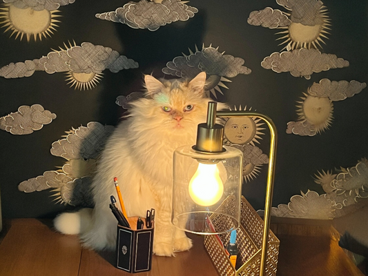 Sports: My Brain’s Version of a Pop-Up Add