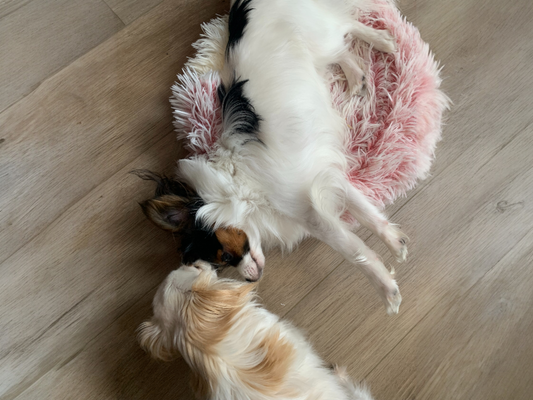 I’m Autistic, Privileged, and Apparently Now a Spokesperson for “Doing OK But Still Struggling”