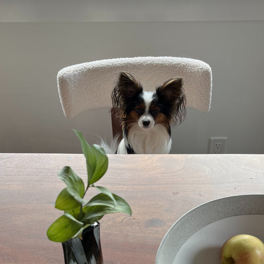 Autism and My Breakfast of Champions