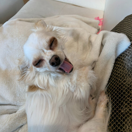 So, What Does Autism Feel Like?